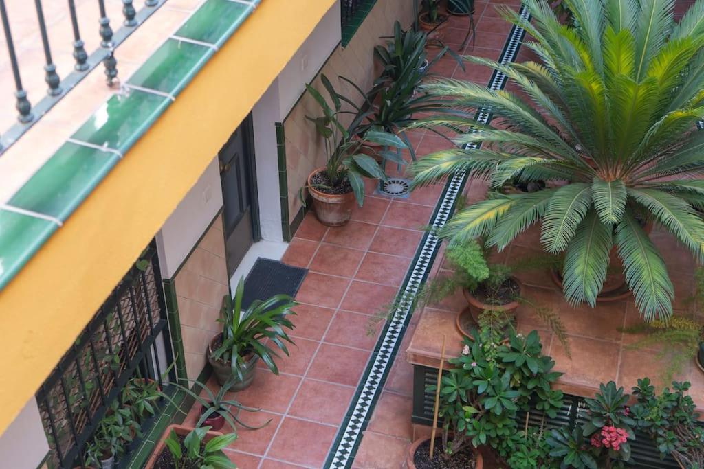 Apartamento Junto A Las Setas De Sevilla Exterior foto